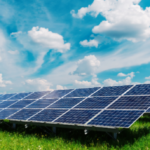 Solar Panel Wholesale – Bulk Sourcing for Business Energy Solutions