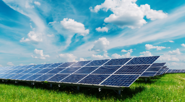 Solar Panel Wholesale – Bulk Sourcing for Business Energy Solutions